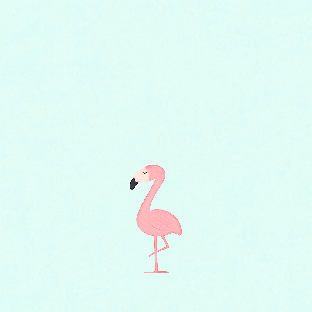 One flamingo (Free user)